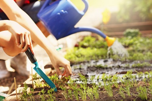 Professional garden clearance service team at work in Muswell Hill
