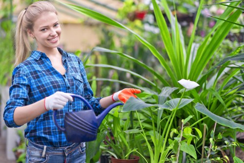 Garden debris removal during clearance service in Muswell Hill