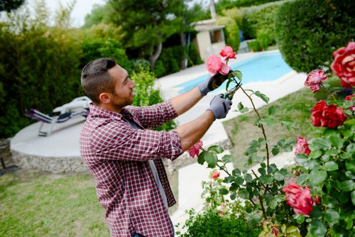 Eco-friendly garden clearance practices in Muswell Hill