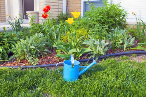 Sustainable gardening practices in a Muswell Hill garden