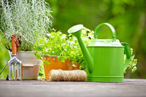 Eco-friendly decking options in Muswell Hill