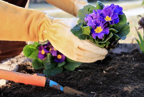 Professional maintenance of a landscape garden