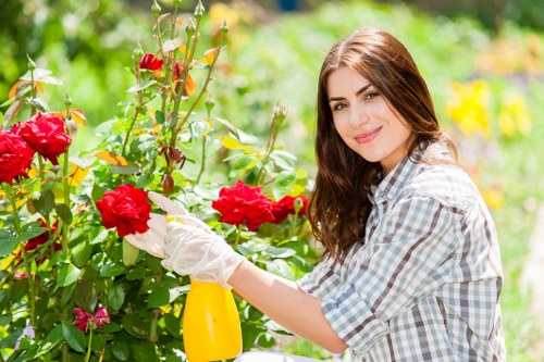 Eco-friendly lawn mowing practices in Muswell Hill