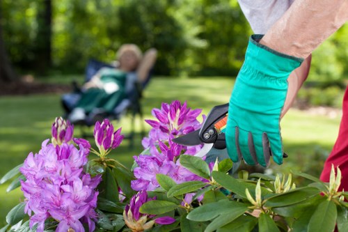 Muswell Hill garden in spring with blooming plants
