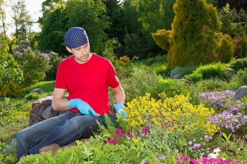 Seasonal lawn care tips for Muswell Hill homeowners