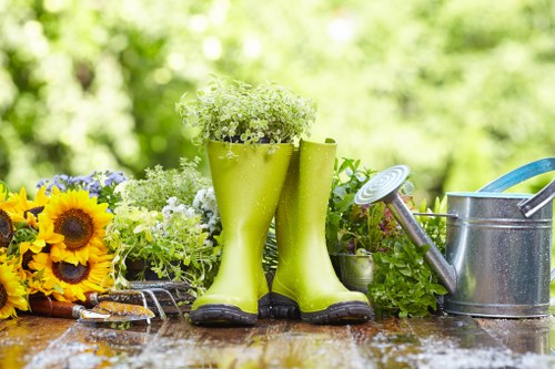 Efficient watering system in a Muswell Hill garden