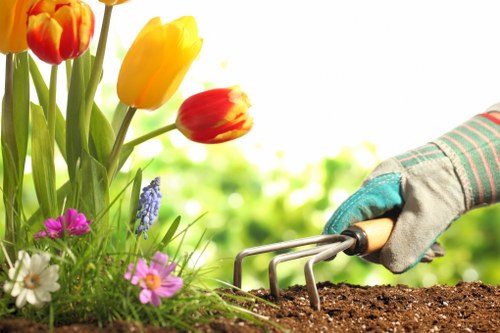 Professional landscaping services enhancing a Muswell Hill property