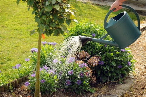 Healthy green lawn maintained by experts in Muswell Hill