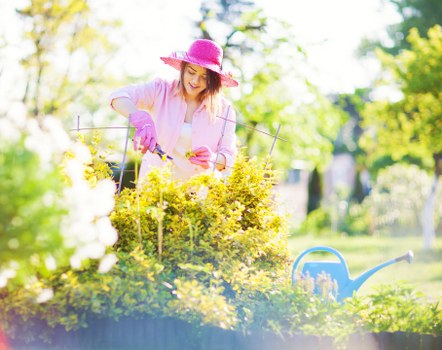 Professional lawn mowing service at work in Muswell Hill