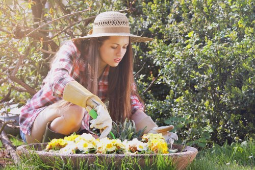 Well-designed garden layout with functional zones