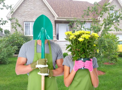 Equipment used for tree services in Muswell Hill