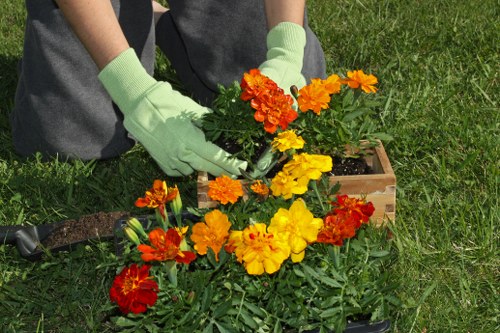 A person wearing light green gardening gloves is tending to a vibrant flower bed in an outdoor garden. The flower bed contains a variety of brightly coloured flowers, including shades of red, orange, and yellow, planted in well-maintained soil within wooden borders. The background features lush green grass and a paved paving area, suggesting a landscaped garden setting. The scene is captured in natural daylight with clear weather, highlighting the fresh and healthy appearance of the plants. This outdoor space reflects a tidy and organized garden suitable for comprehensive gardening and landscaping services offered by Pressure Washing Muswell Hill, located in the Muswell Hill area of London with postcode N10. The overall environment appears cared for, with a focus on vibrant plant display and clean surfaces that can benefit from professional exterior cleaning and maintenance to enhance its outdoor appeal.